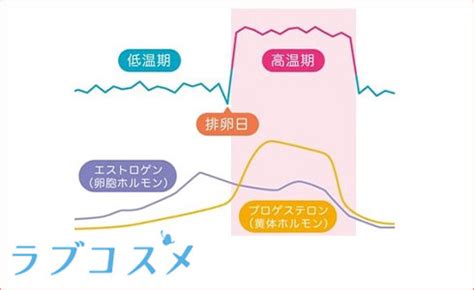 膣キュンとは|子宮が疼くとは？子宮が疼く理由＆遺伝子レベルで恋。